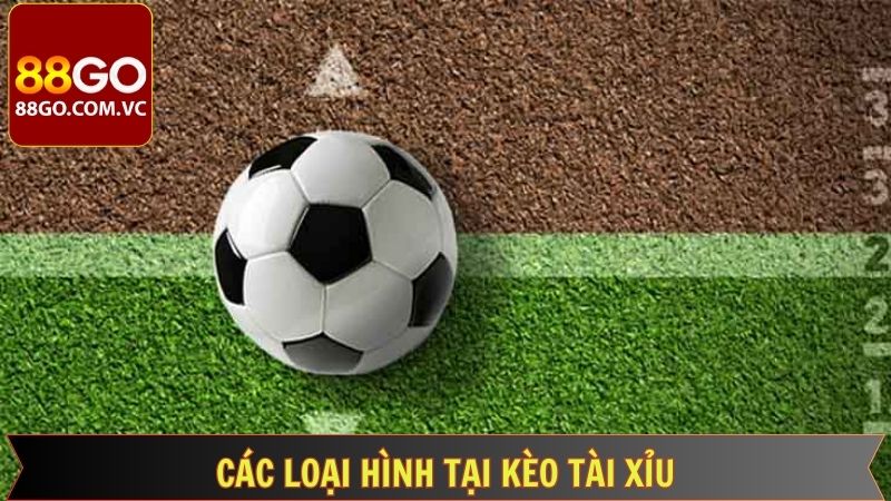 Bí Kíp Bắt Kèo Tài Xỉu Dễ Ăn Nhất Tại 88GO Cho Người Mới 4 Những loại hình kèo cược Tài Xỉu phổ biến nhất hiện nay