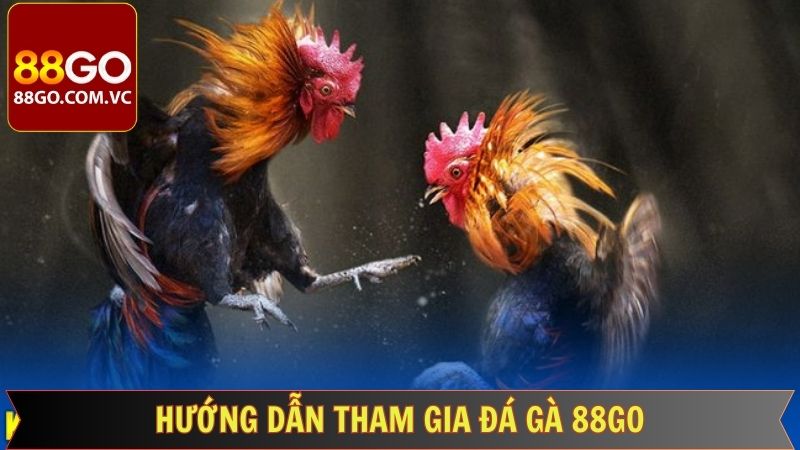 Đá Gà 88GO - Cập Nhật Liên Tục Các Trận Gà Nảy Lửa 3 Hướng dẫn tân thủ tham gia cá cược Đá gà 88GO