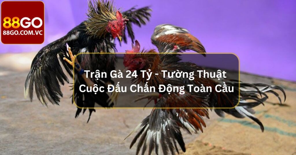 Trận Gà 24 Tỷ - Tường Thuật Cuộc Đấu Chấn Động Toàn Cầu 1 Trận Gà 24 Tỷ - Tường Thuật Cuộc Đấu Chấn Động Toàn Cầu