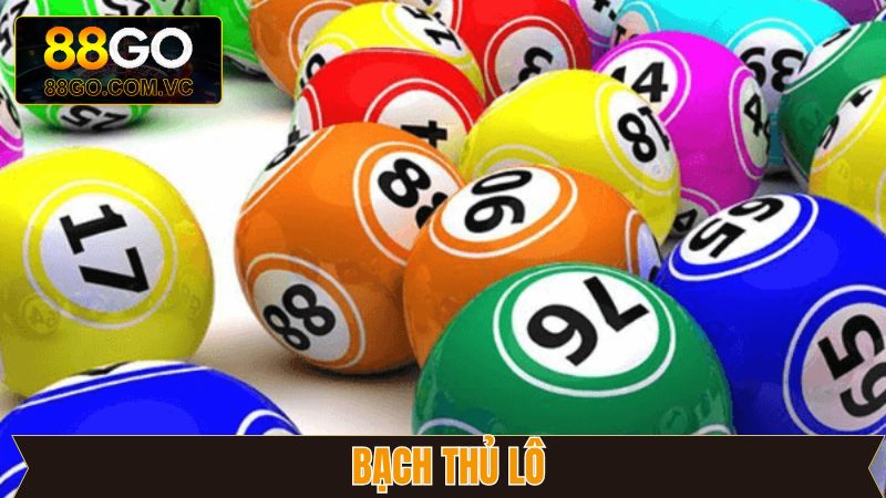 Phương Pháp Bắt Bạch Thủ Lô Hiệu Quả Từ Cao Thủ 88Go