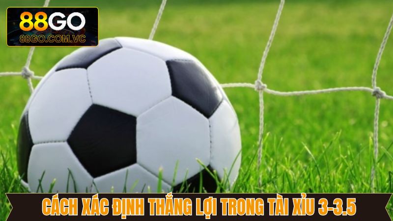 Tài Xỉu 3-3.5 - Cách Thức Tham Gia Cá Cược Chuẩn Tại 88GO 3 Cách thức để xác định thắng lợi trong tài xỉu 3-3.5