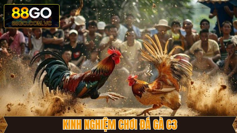 Đánh giá sức mạnh chiến kê trước khi xuống tiền