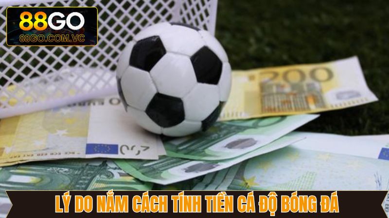 Cách Tính Tiền Cá Độ Bóng Đá Dễ Hiểu Nhất Từ Go88 2 Những lý do người dùng nên nắm rõ công thức