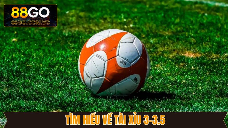 Tài Xỉu 3-3.5 - Cách Thức Tham Gia Cá Cược Chuẩn Tại 88GO 2 Nội dung cụ thể về tỷ lệ cược tài xỉu 3 đến 3.5